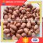 All Normal Sizes Snack Chinese Four Kernel Red Skin Peanut 40/50