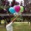 10 Inch 2.2 g Christmas Inflatabled Latex Balloon