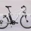 electric bike electric bicycle mountain bike folding electric bike