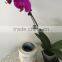 Hot sale custom design vinyl material waterproof self-adhesive labels stickers printing in roll or in sheet