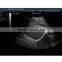 Panoramic focusing technology Laptop Ultrasound Machine Price for sale- BPU06