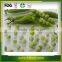 Hot Sale 100% Natural Freeze Dried Green Pea