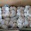 20156 new crop fresh garlic