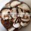 Professional Mushroom Slicing Machine on Sale