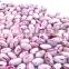 JSX bulk light speckled kidney beans big and small size food grade price for sugar beans