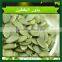 GWS pumpkin seed kernels Grade AA Snow white pumpkin seeds kernels Shine Skin Pumpkin Seeds Kernel