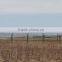 PVC Coated Anti-climbing Y Type Airport Razor Barbed Wire & Fence Panel