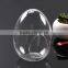 Clear Egg Shape Glass Vase Glass Micro Landscape Bottle