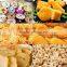 continuous work Automatic temperature control Crisp frying machine