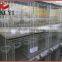 Good Price High Quality Pigeon Cages Design For 12 Pigeons