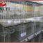 High Quaility and Best Price Pigeon Transport Cage