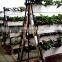 Hydroponic gutter