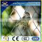 Alibaba China Wholesale chain link fence of galvanized and PVC coated