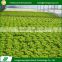 New style hot galvanized vegetable selling used greenhouse