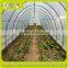 High Quality Low Price Galvanized Steel Tunnel Agricultural Greenhouse