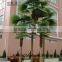 SJH4474 Palm tree with cheap price palm tree for OUTDOOR decoration