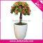 Artificial Potted Plant Plastic Table Small Plant Pots Artificial Grass Ball Tree / Bonsai Tree