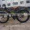 48V 750W big power electric fat tire bicycle ATV ebike mountain bike