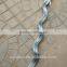 china galvanized tomato growing spiral factry