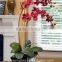 Artificial Orchids indoor plant for decorated