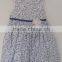 Baby Girls Blue and White Porcelain Printed and Emboridered Dress for Summer