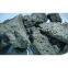 High Quality and Low Price Metallurgical Coke/Foundry Coke