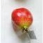 Artificial pomegranate,Artificial fruit