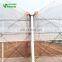 2017 Hot Selling Greenhouse Farm For Sale