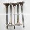 QSK19 QSX15 ISX15 intake valve and Exhaust valve 4016438 3090469 4965869 4059327 for Cummins