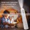 Handheld UVC UV C Surface Portable Wand  Sanitizing Disinfection Steriliser Germicidal Lamp