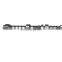 For Land Ro-ver 4.0L 1995-2002 New Auto Parts Intake & Exhaust Camshaft ERR3720G