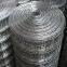 Building Material 2 Inch PVC Coating Galvanized Iron Welded Wire Mesh