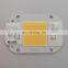50W 220V Full Spectrum White Warm white Led Cob Chip 6040