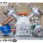 GV-20/5-200 High Pressure Oxygen Compressor Methane Propylene Diaphragm Compressor