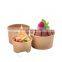Custom logo 100% biodegradable kraft ice cream container