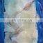 Hot sale skin on squid fillet block wing on for export