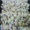 frozen abalone price