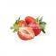 Super food strawberry fruit juice extract powder
