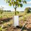 Enveloppes en plastique ondulé PP pour arbres – Panneaux de protection réutilisables pour semis