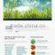 website developer India