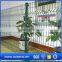 China supplier professional good quality welded wire mesh panel/garden fence 60cm in china