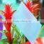 UV Protection Colored Solid/Hollow Polycarbonate Roofing Sheet