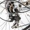 2016 sample bicicletta elettrica low cost for sale