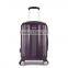 100% pc wire drawing luggage set