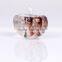 Sublimation Crystal Apple for Photo