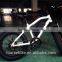 8.8AH Panasonnic battery 20 inch big tire snow electric bicycle mountain bike