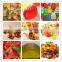 hot-selling jelly candy production line--- gummy bear candy