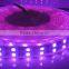 5M 500CM RGB 5050 600 Led SMD Flexible Light Strip Lamp+44 key IR Controller