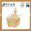 trade assurance coin box educational DIY FSC natural wooden small wooded toy on sale