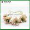 Fabric rose flower bando lace-up flower headband